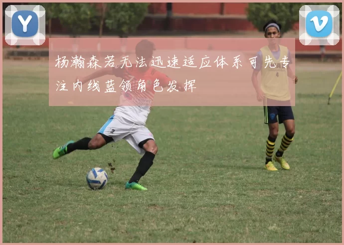 杨瀚森若无法迅速适应体系可先专注内线蓝领角色发挥