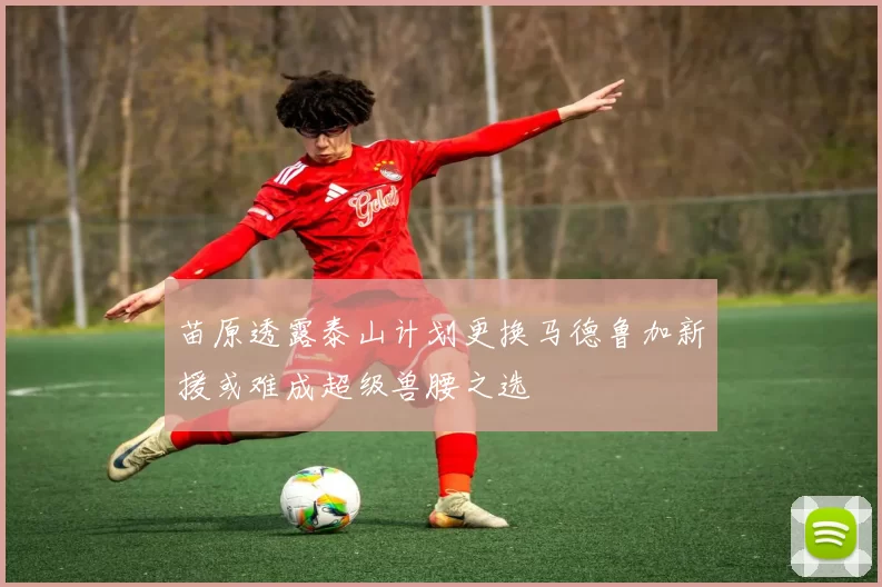苗原透露泰山计划更换马德鲁加新援或难成超级兽腰之选